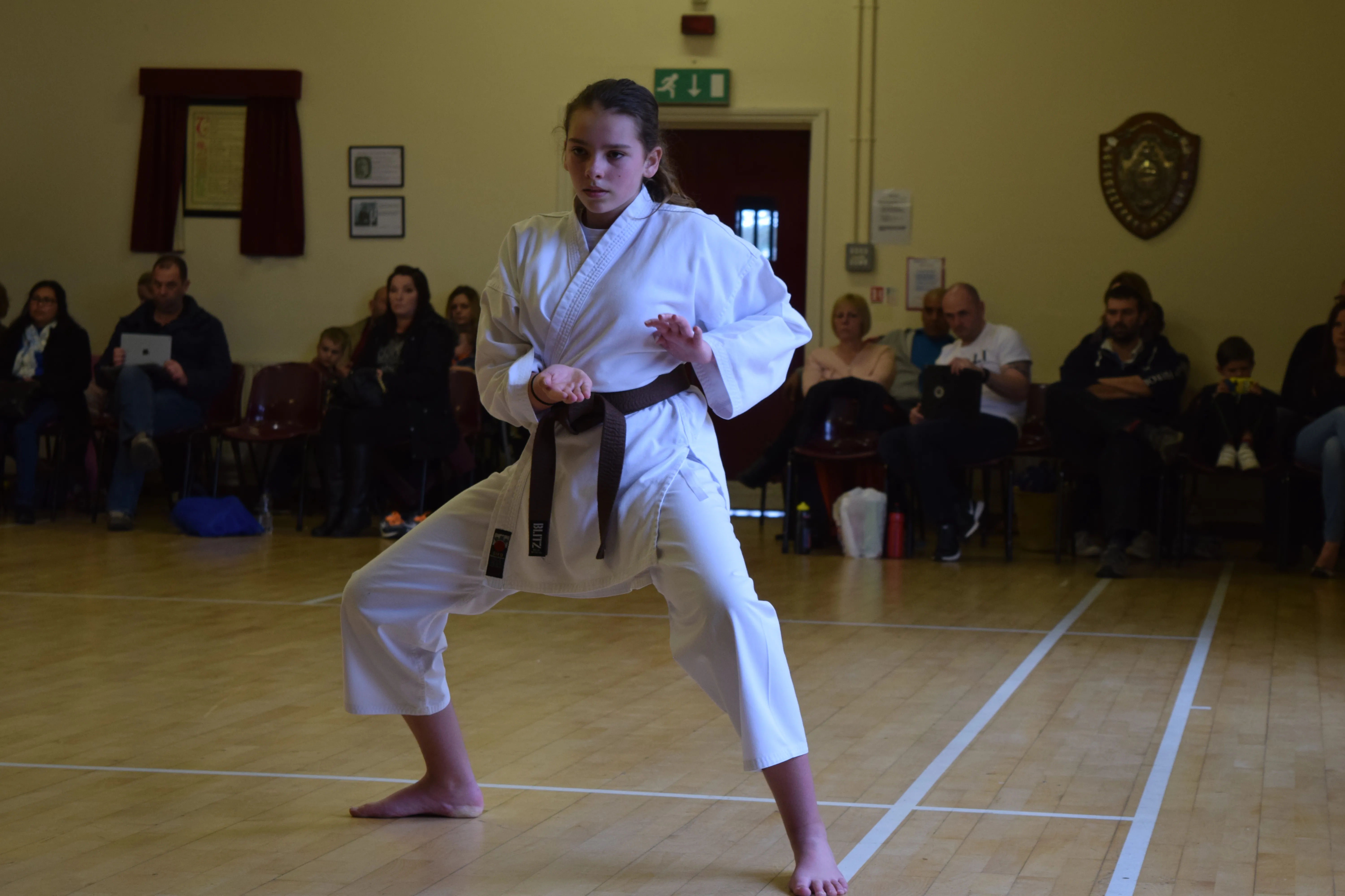 Emily King Kata